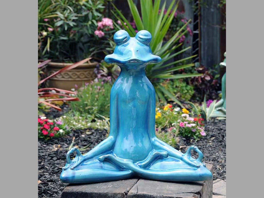 Meditation Frog